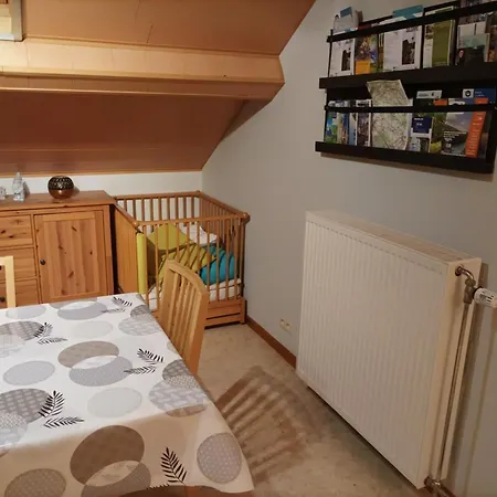 Apartment Spacious In With Garden