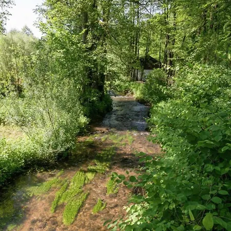 Spacious In With Garden Malmedy